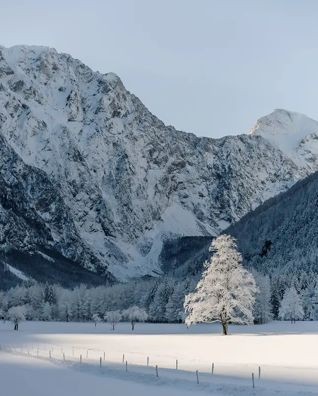 Logar Valley Winter
